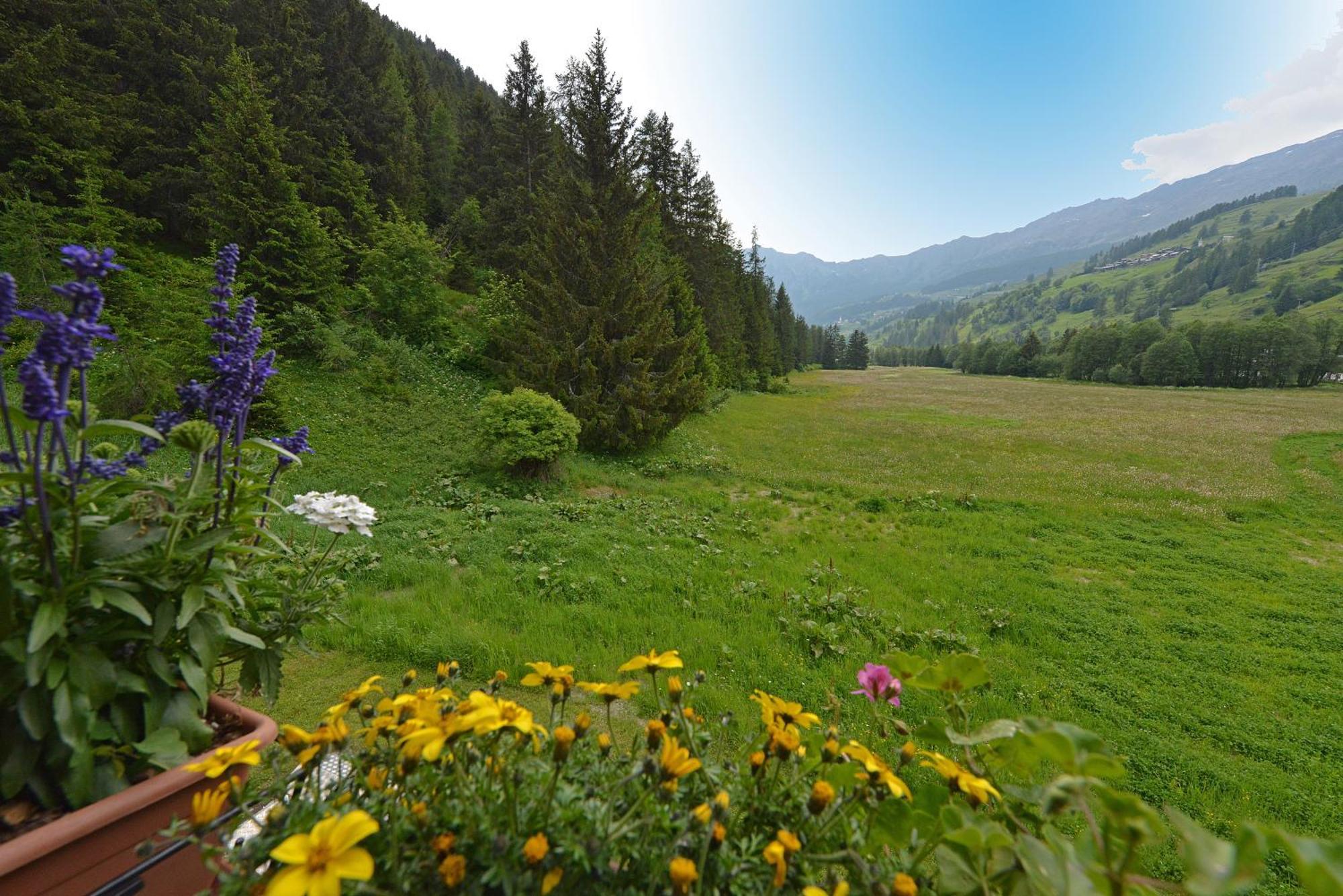 Hotel Le Petit Abri Champoluc Kültér fotó