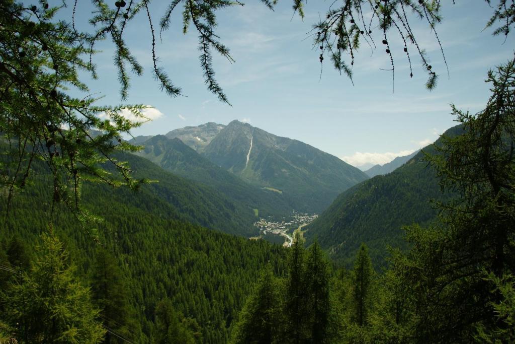 Hotel Le Petit Abri Champoluc Kültér fotó