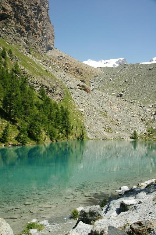 Hotel Le Petit Abri Champoluc Kültér fotó