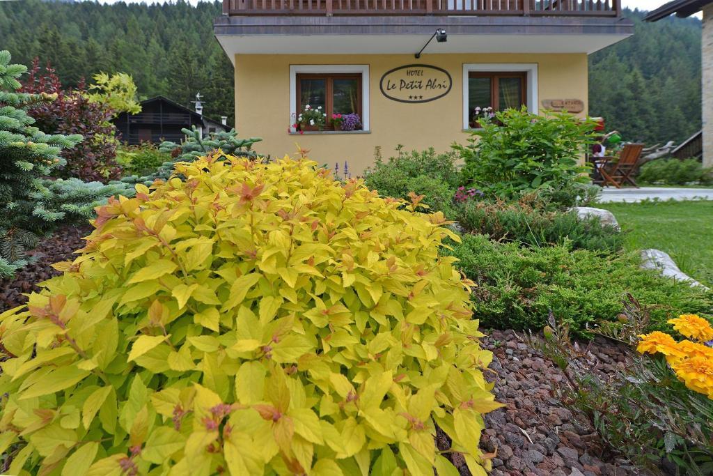 Hotel Le Petit Abri Champoluc Kültér fotó